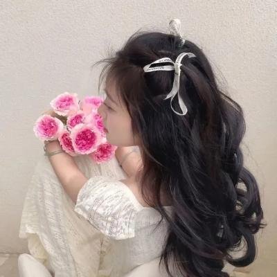 陈善圭 